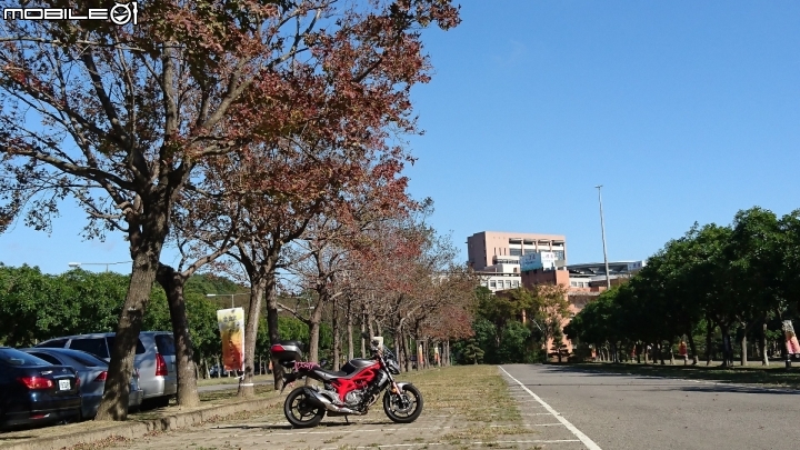 【簡易分享】低調的好夥伴-SUZUKI SFV Gladius 650