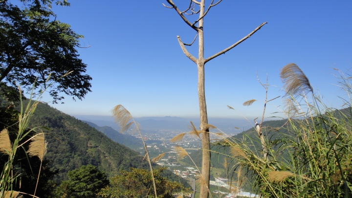 「神鵝瞎旅」之 武界林道 山碰壁