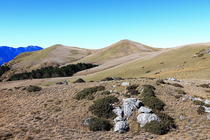 4日半之能高安東軍縱走