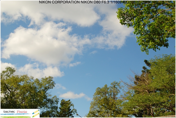 Nikon D80 照片心得分享