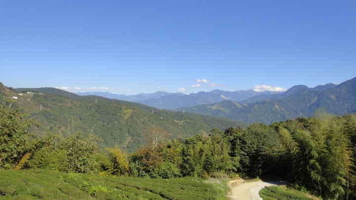 「神鵝瞎旅」之 武界林道 山碰壁