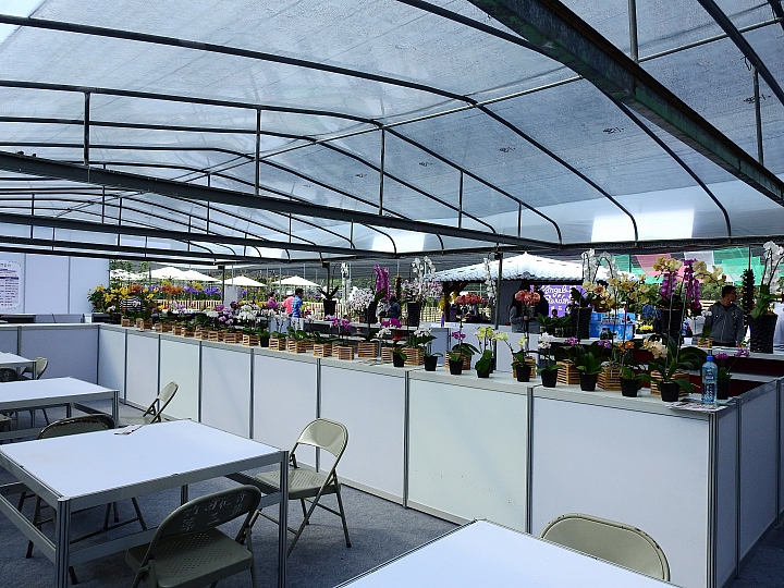 2017屏東熱帶植物博覽會增設天使花園蘭藝館，更繽紛美麗。