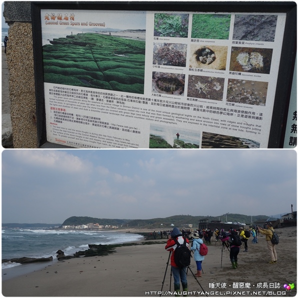 【無料景點】來「北海岸遊憩探索館」乘海破浪、生態探險吧!! (北海岸半日遊~石門婚紗廣場、富貴角燈塔、季節限定老梅綠石槽)