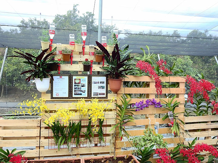 2017屏東熱帶植物博覽會增設天使花園蘭藝館，更繽紛美麗。
