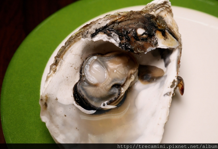 【食記】高雄蒸品鮮汕頭沙茶爐永豐店-海鮮塔豪氣登場霸氣推薦/CP值超高/海鮮蒸氣料理/汕頭湯底好滋味