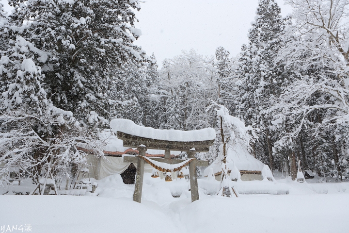 【岐阜】白川鄉合掌村冬季點燈，一年只有六天的夢幻時刻