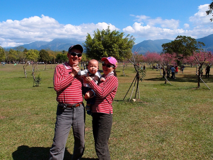 【南投景點】春節賞櫻好去處，南投埔里暨南大學（新增2017年日月潭暨大賞櫻季活動內容）