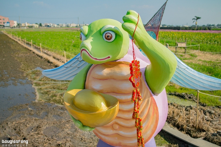 【遊記│雲林斗南】石龜花海節