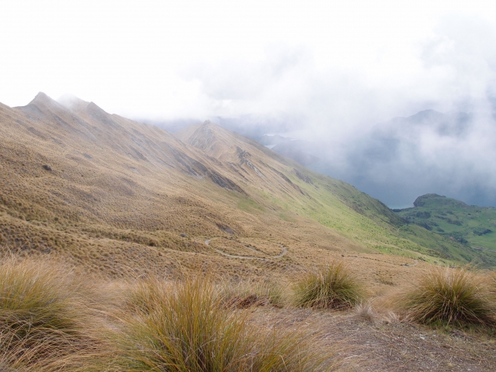 2016 赤子知心 紐西蘭 我的自駕旅行