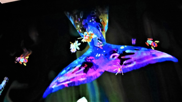 【台北華山文創園區 | 展覽】走入絢麗水晶宇宙的超有趣互動體驗展☆TeamLab:舞動！藝術展 & 學習！未來の遊園地特展