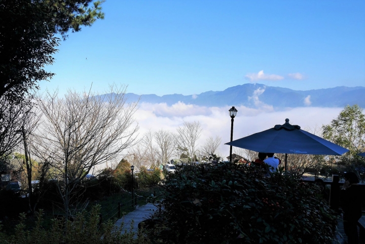 【新竹五峰 | 景點】雲海上的夢幻落羽松歐風莊園ｘ森林咖啡館♖山上人家
