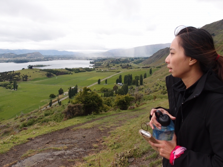 2016 赤子知心 紐西蘭 我的自駕旅行