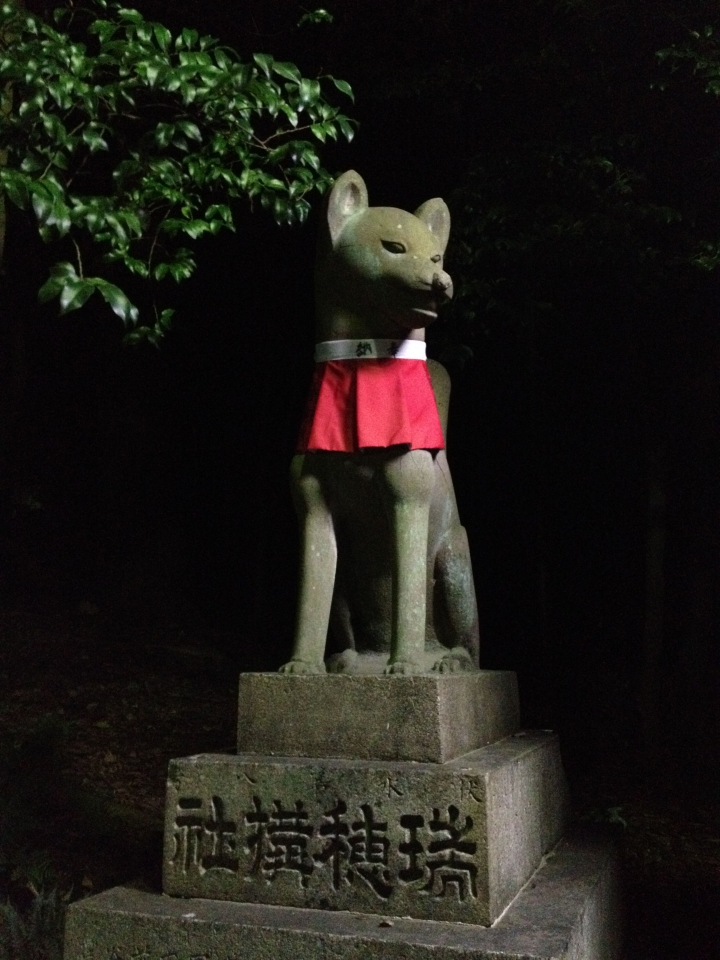 京都【景點】自由行-晚上去伏見稻荷大社 和 黃昏去金閣寺 【京都晚上景點】