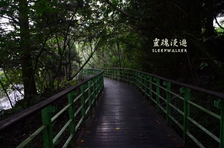 ［南投仁愛。景點］搭公車遊南投 Day1－清境農場（綿羊秀、馬術秀、步道）