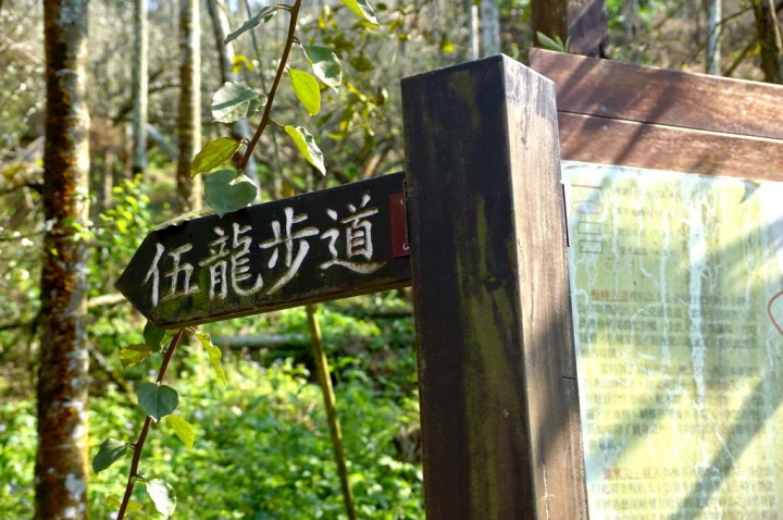 [台南][楠西區] 丙申年末 梅嶺弄梅