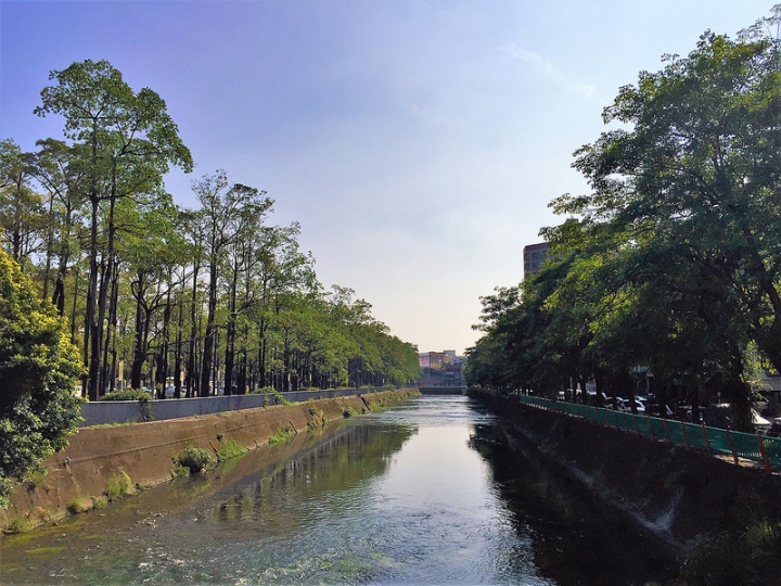 【親子景點】台中野餐地點推薦，好停車的中興大學（有草皮、人工湖、小動物）