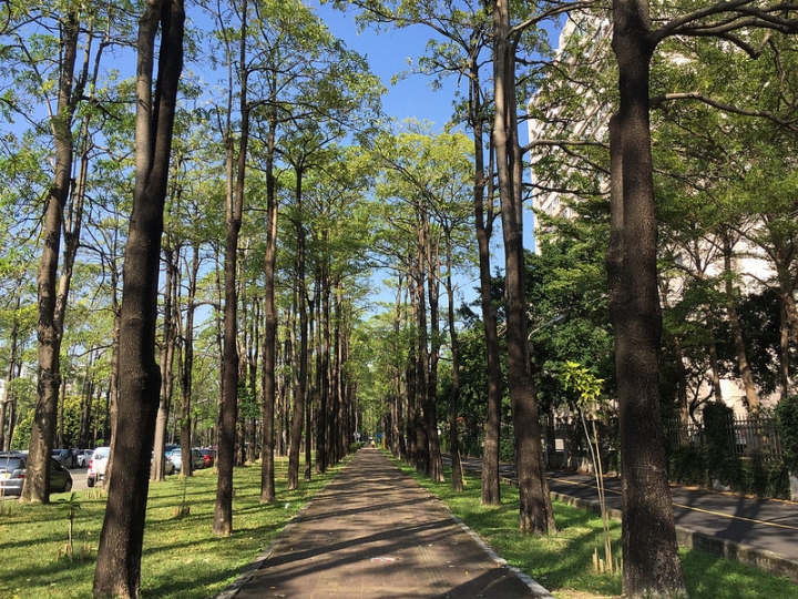 【親子景點】台中野餐地點推薦，好停車的中興大學（有草皮、人工湖、小動物）