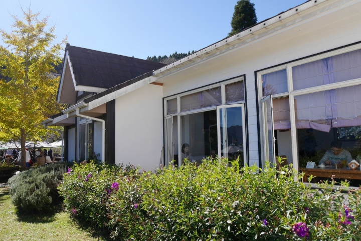 【新竹五峰 | 景點】雲海上的夢幻落羽松歐風莊園ｘ森林咖啡館♖山上人家