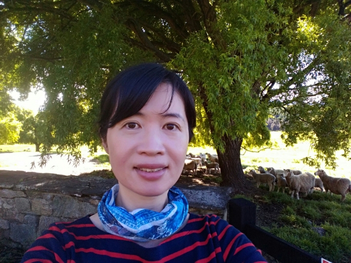 2016紐西蘭花漾南島自助自駕趣