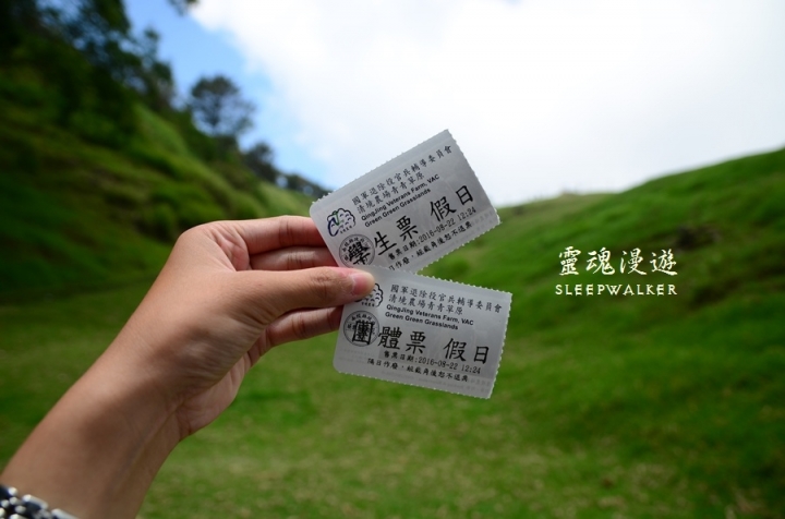 ［南投仁愛。景點］搭公車遊南投 Day1－清境農場（綿羊秀、馬術秀、步道）