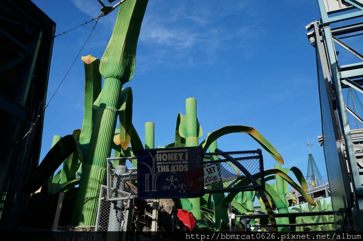 奧蘭多迪士尼世界 - Hollywood Studios - 真實呈現經典電影場景的遊樂設施和表演秀
