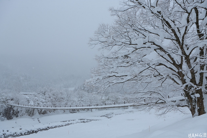 【岐阜】白川鄉合掌村冬季點燈，一年只有六天的夢幻時刻