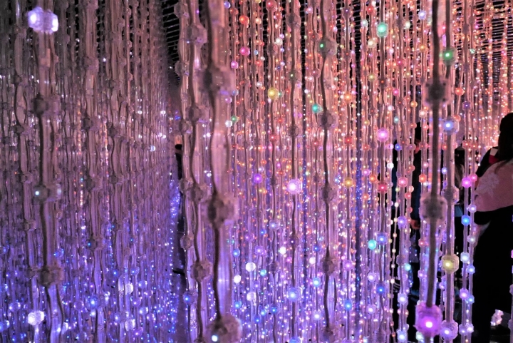【台北華山文創園區 | 展覽】走入絢麗水晶宇宙的超有趣互動體驗展☆TeamLab:舞動！藝術展 & 學習！未來の遊園地特展