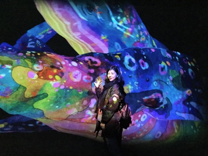 【台北華山文創園區 | 展覽】走入絢麗水晶宇宙的超有趣互動體驗展☆TeamLab:舞動！藝術展 & 學習！未來の遊園地特展