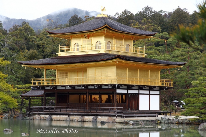 2016 日本旅遊簡介，15天走過7城市→大阪、京都、神戶、姬路、廣島、松山、尾道