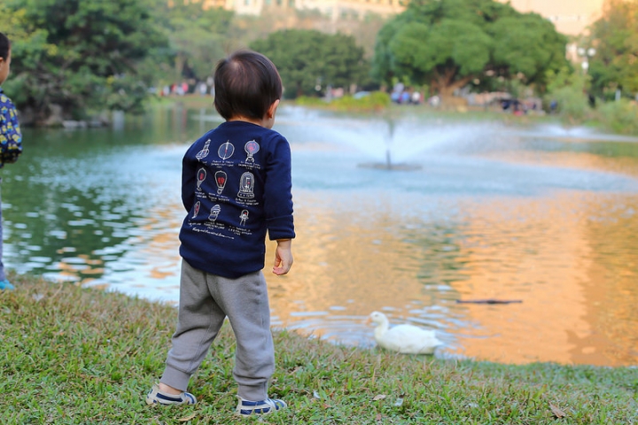 【親子景點】台中野餐地點推薦，好停車的中興大學（有草皮、人工湖、小動物）