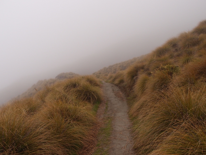 2016 赤子知心 紐西蘭 我的自駕旅行