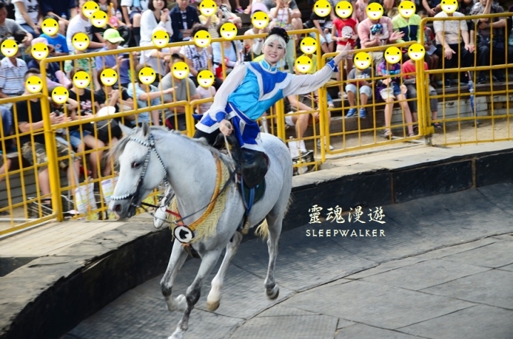 ［南投仁愛。景點］搭公車遊南投 Day1－清境農場（綿羊秀、馬術秀、步道）