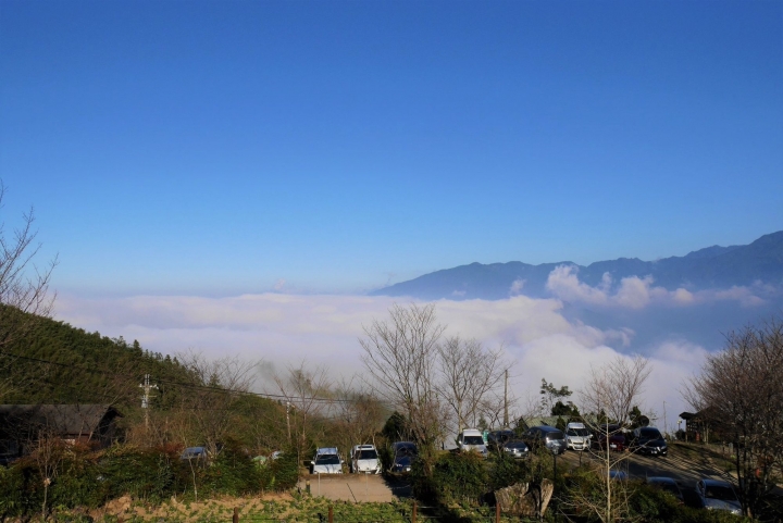 【新竹五峰 | 景點】雲海上的夢幻落羽松歐風莊園ｘ森林咖啡館♖山上人家
