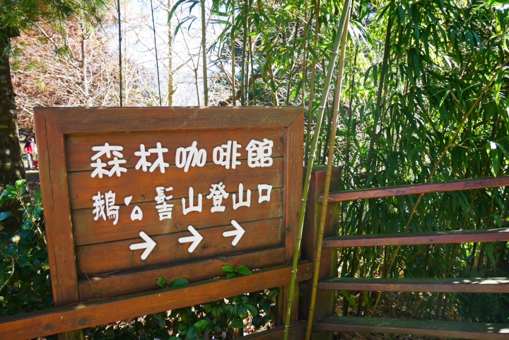 【新竹五峰 | 景點】雲海上的夢幻落羽松歐風莊園ｘ森林咖啡館♖山上人家