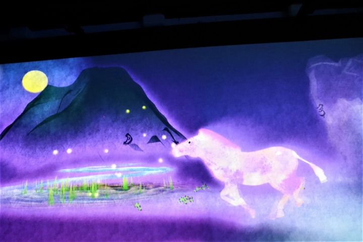 【台北華山文創園區 | 展覽】走入絢麗水晶宇宙的超有趣互動體驗展☆TeamLab:舞動！藝術展 & 學習！未來の遊園地特展