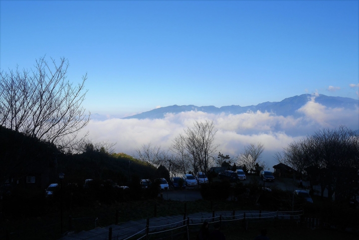 【新竹五峰 | 景點】雲海上的夢幻落羽松歐風莊園ｘ森林咖啡館♖山上人家