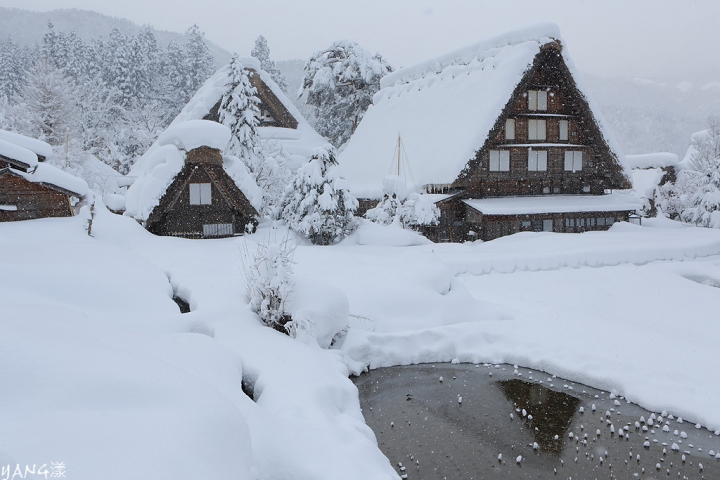 【岐阜】白川鄉合掌村冬季點燈，一年只有六天的夢幻時刻