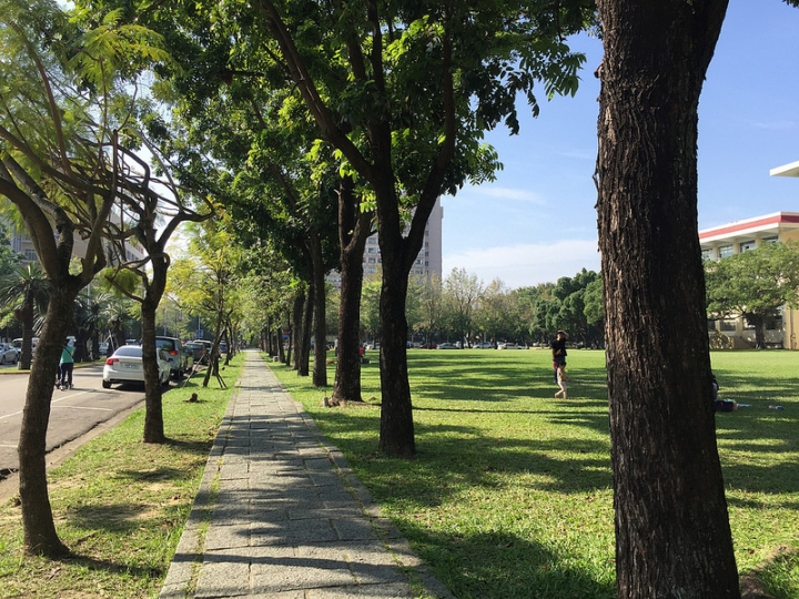 【親子景點】台中野餐地點推薦，好停車的中興大學（有草皮、人工湖、小動物）