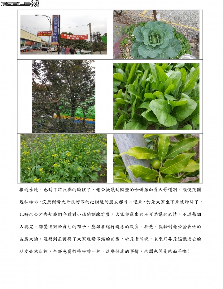 [分享] 2017年農曆新年賺錢經驗---飛鷹行動