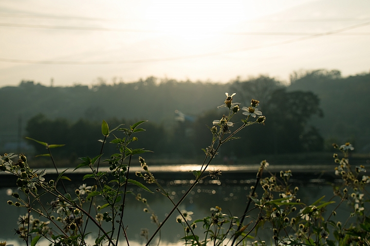 CANON EF-M18-150mm 實拍分享
