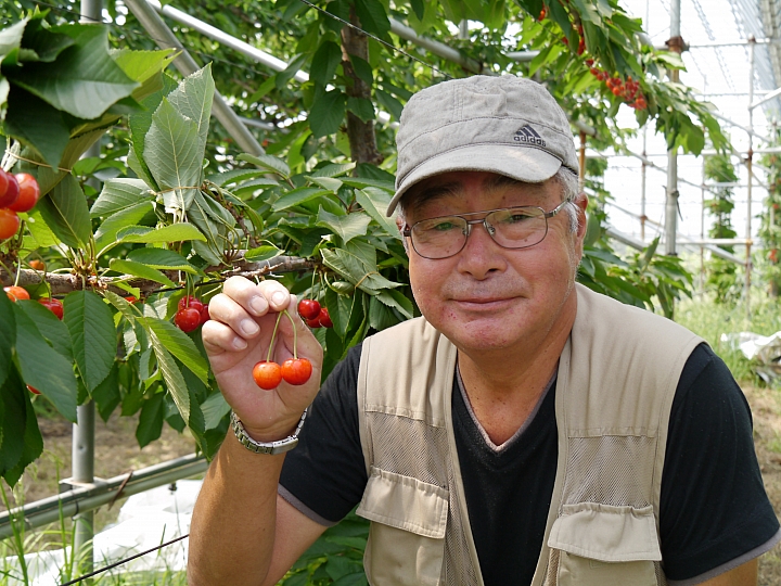 日本山梨縣 "塩山"  採鹽還是採櫻桃 ?!