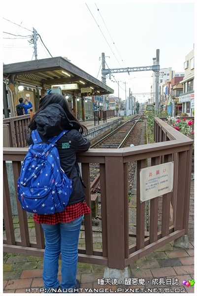 【日本新玩法】搭荒川線電車穿越時空體驗東京復古風情！（省荷包交通小撇步"都營一日乘車券"、8個不擁擠遊日熱點、銅板美食 ）