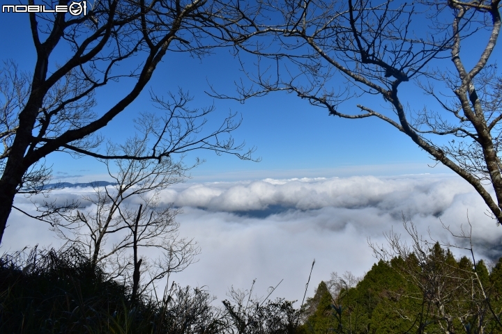 『開箱』Nikon D5600，晉升單眼一族