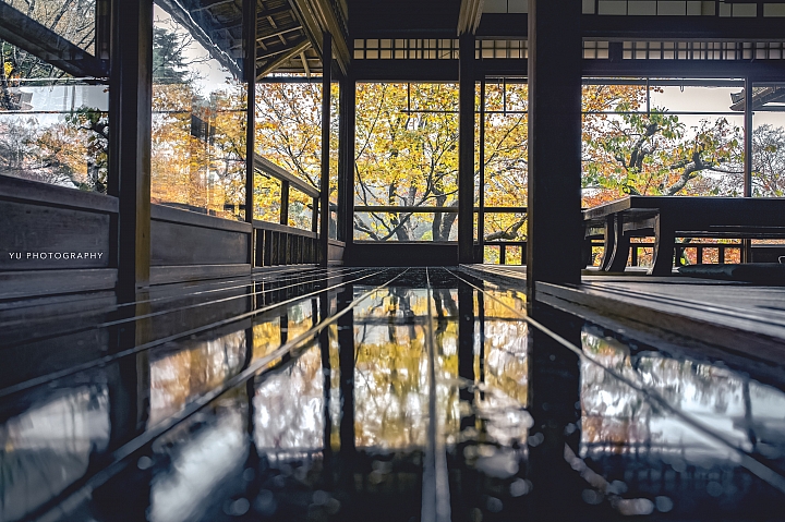 [D4] 京都賞楓攝影（後製）圖多