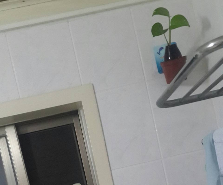 更新於12/17邁向第12年)預算不足夫妻同心油漆&整修17坪的起家厝點滴..
