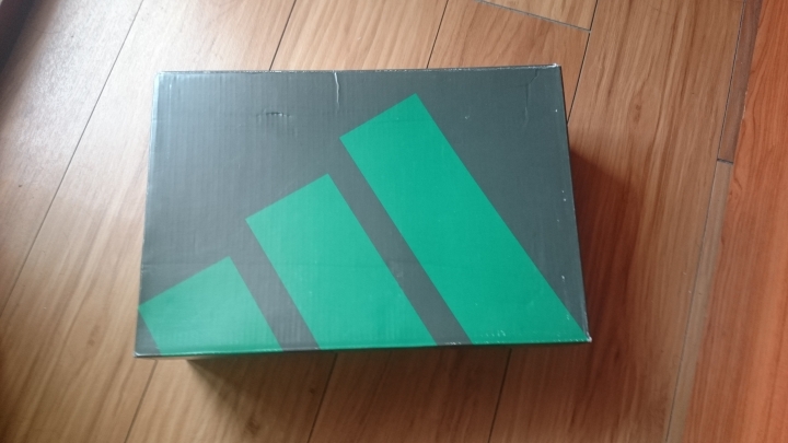 [開箱]Adidas EQT support 93/16 boost