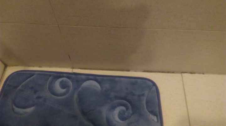 浴室地磚填縫變色的問題