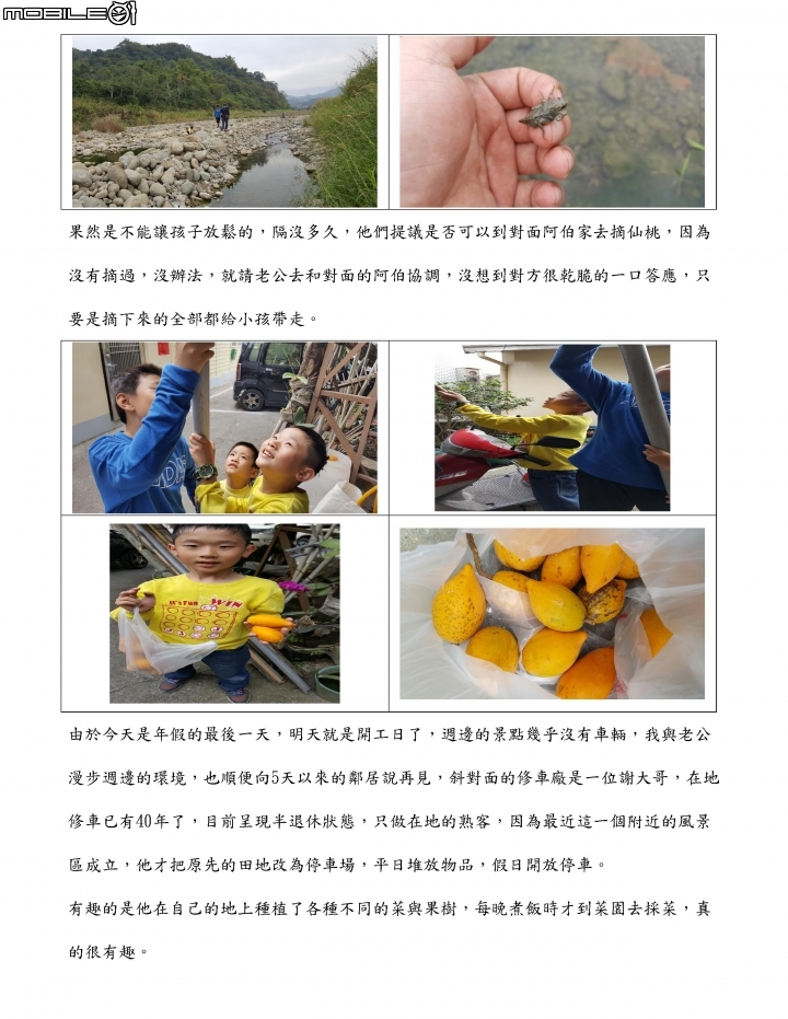 [分享] 2017年農曆新年賺錢經驗---飛鷹行動