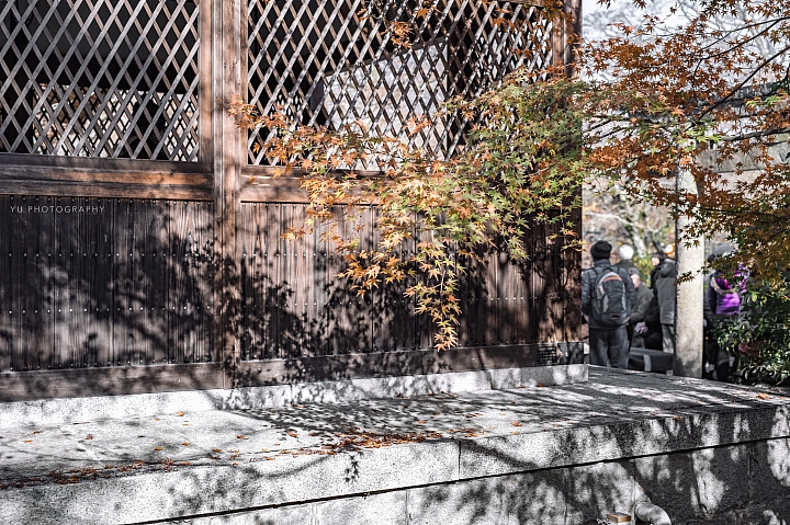 [D4] 京都賞楓攝影（後製）圖多