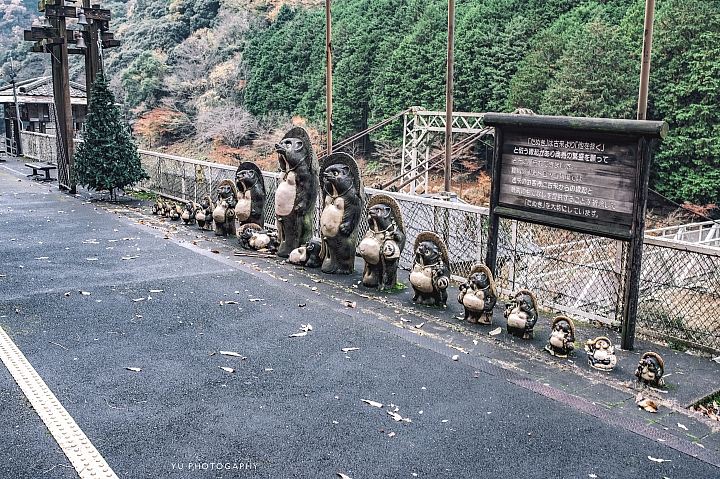 [D4] 京都賞楓攝影（後製）圖多